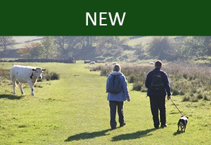 Westmorland and Furness Way